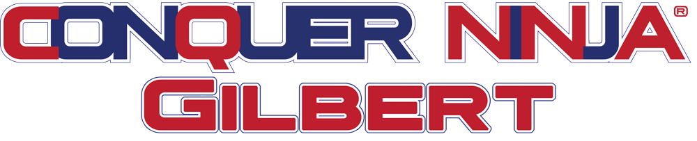 Conquer Ninja Gyms (Gilbert) logo