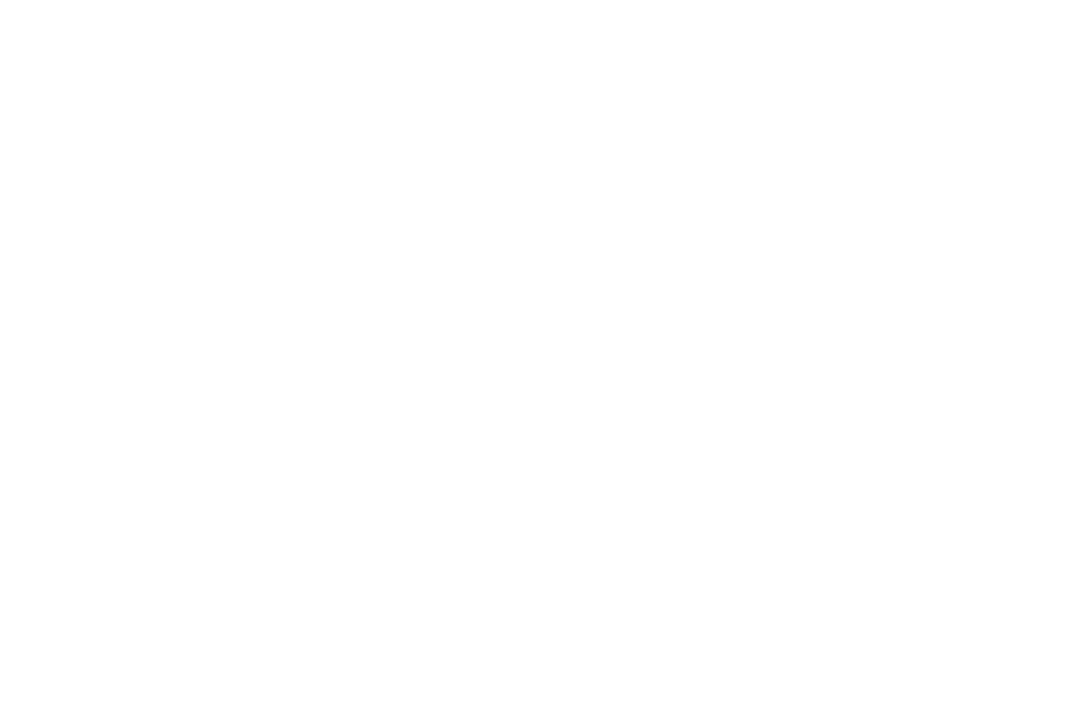 Ninja Sport Championship logo